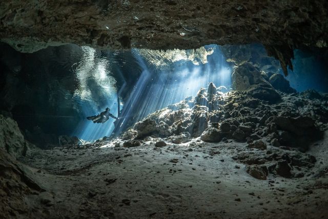 GUIDED CENOTE DIVING – UNDER THE JUNGLE